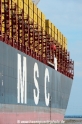 MSC-Logo-ConDeck 1815-05.jpg